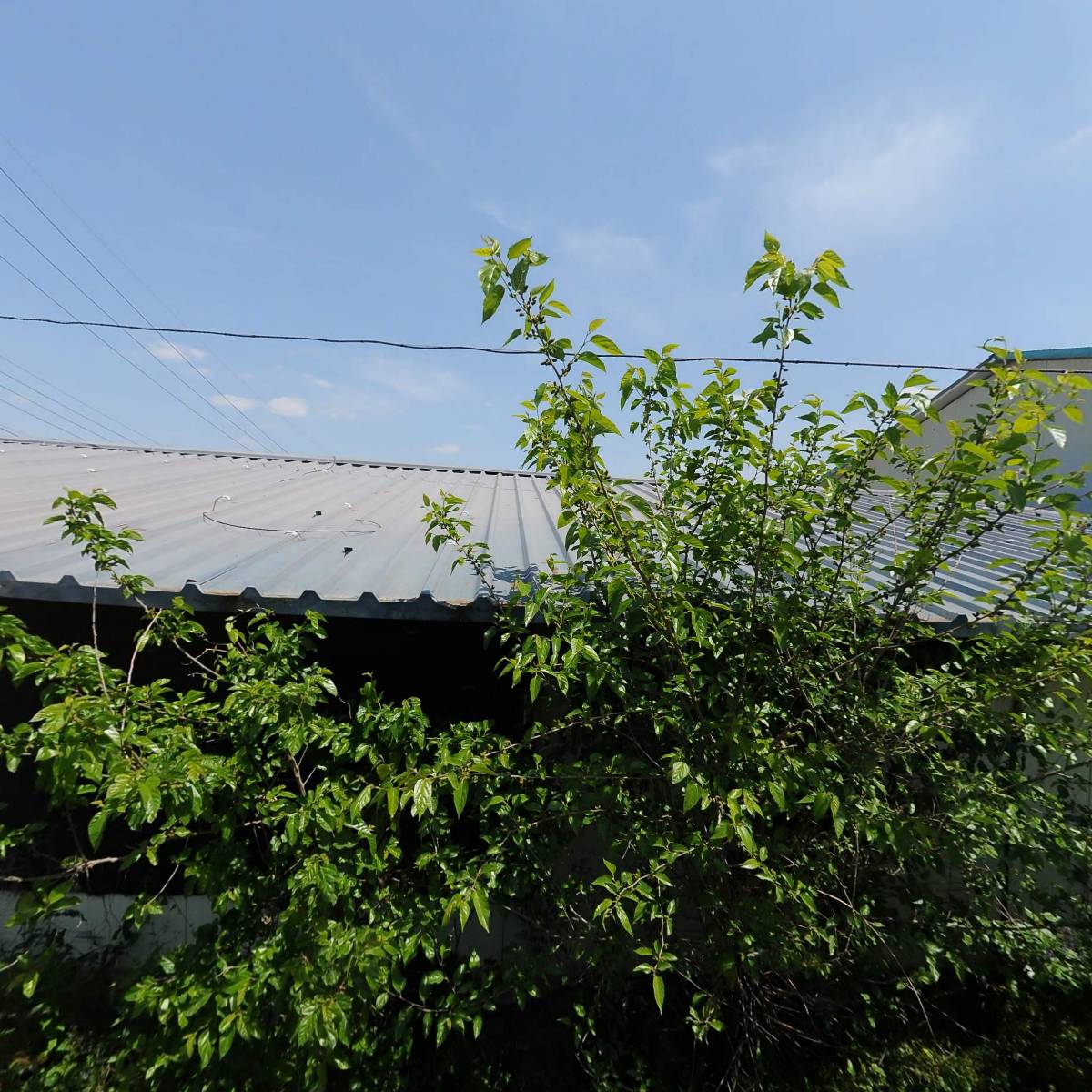 지경영농조합법인_3