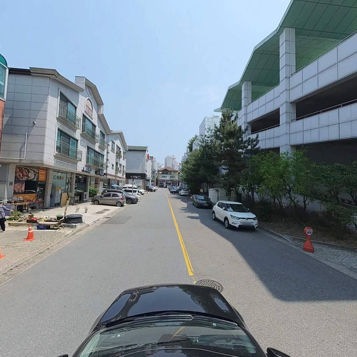 맑은샘송어_4