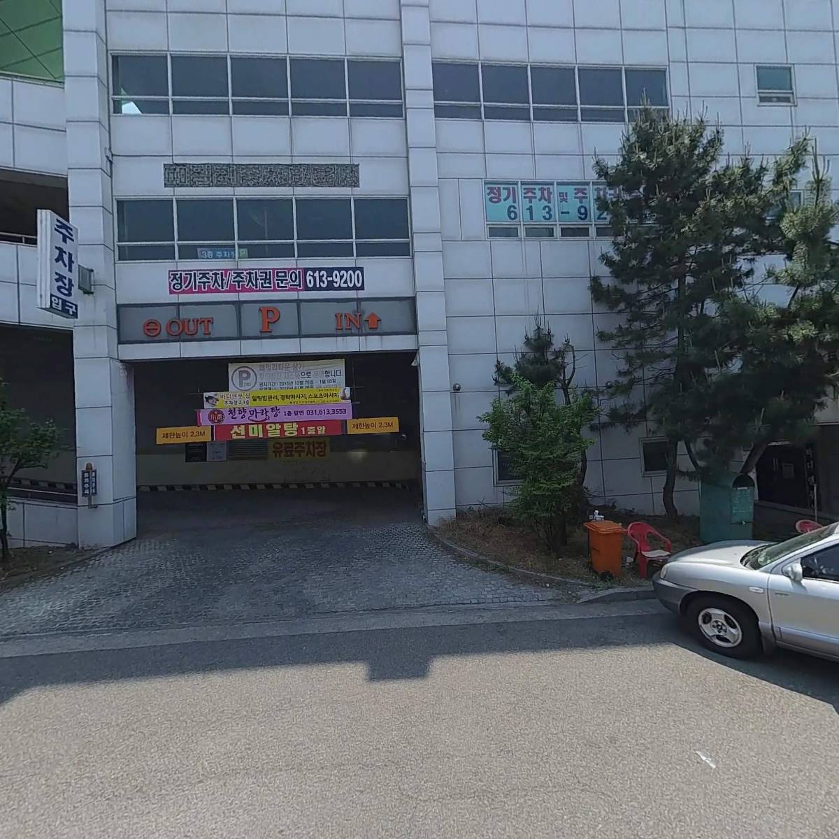 맑은샘송어