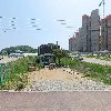 영웅배송(스파이더)탕정점