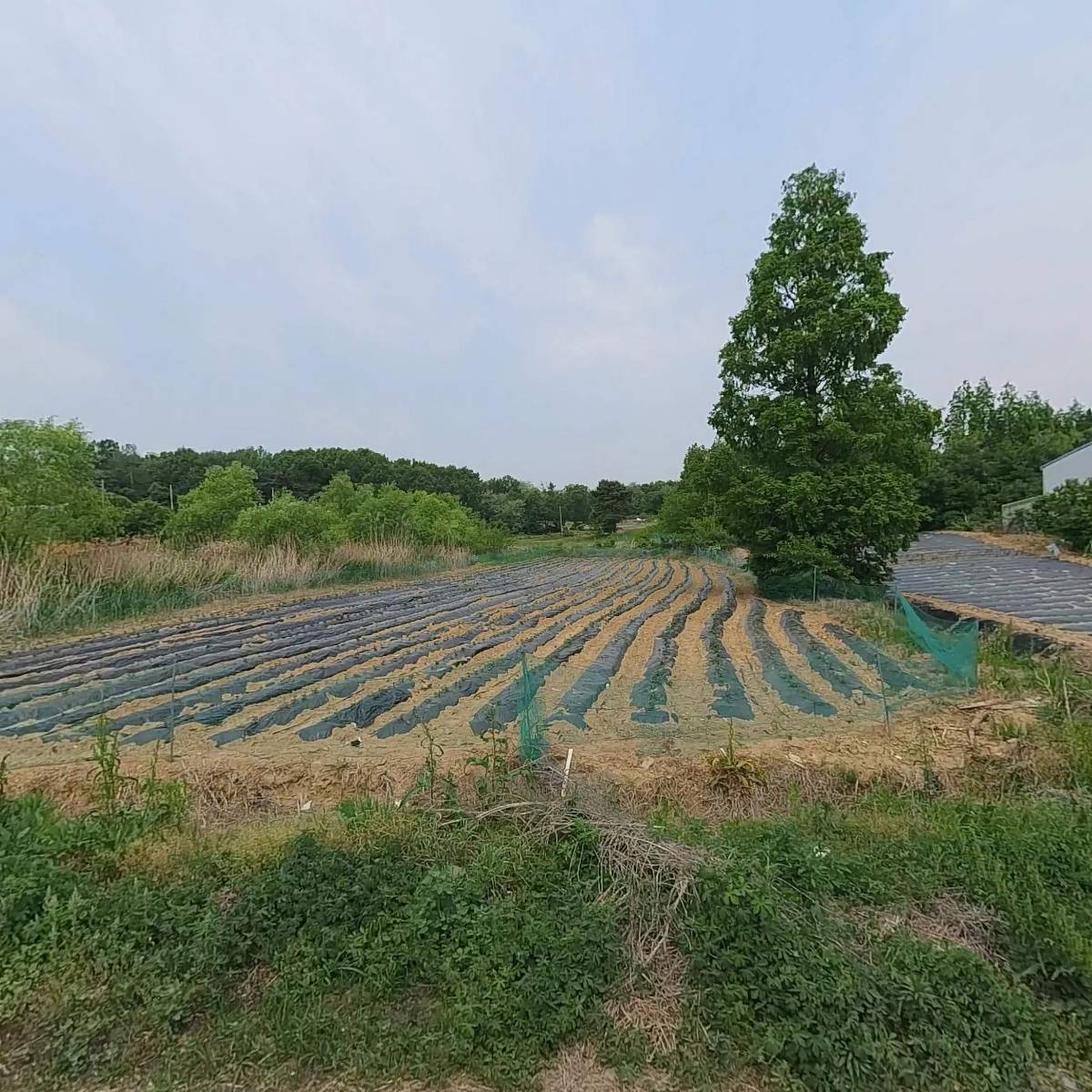 (주)농업회사법인 힘쎈