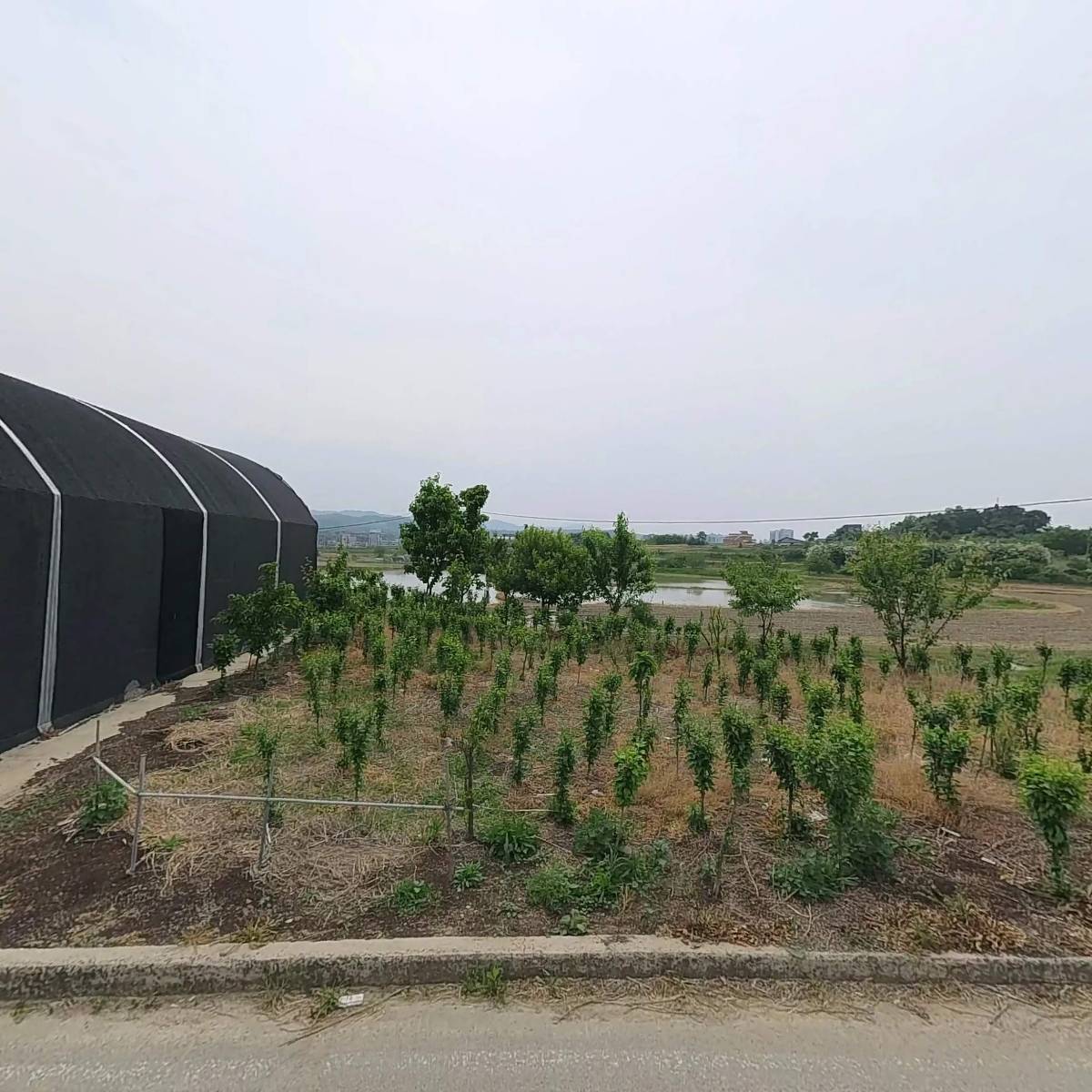 (주)농업회사법인 힘쎈_3