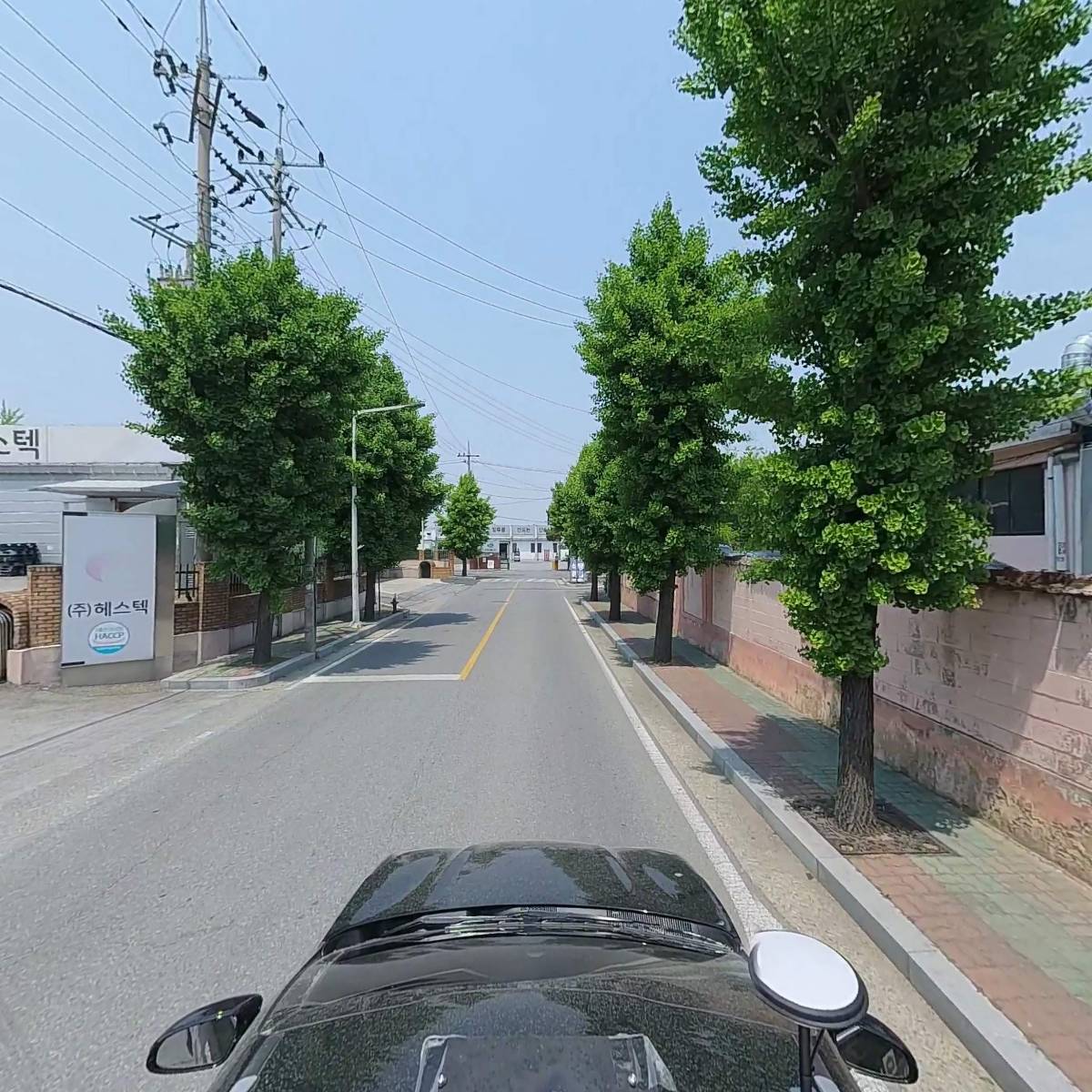엠.스미스_4