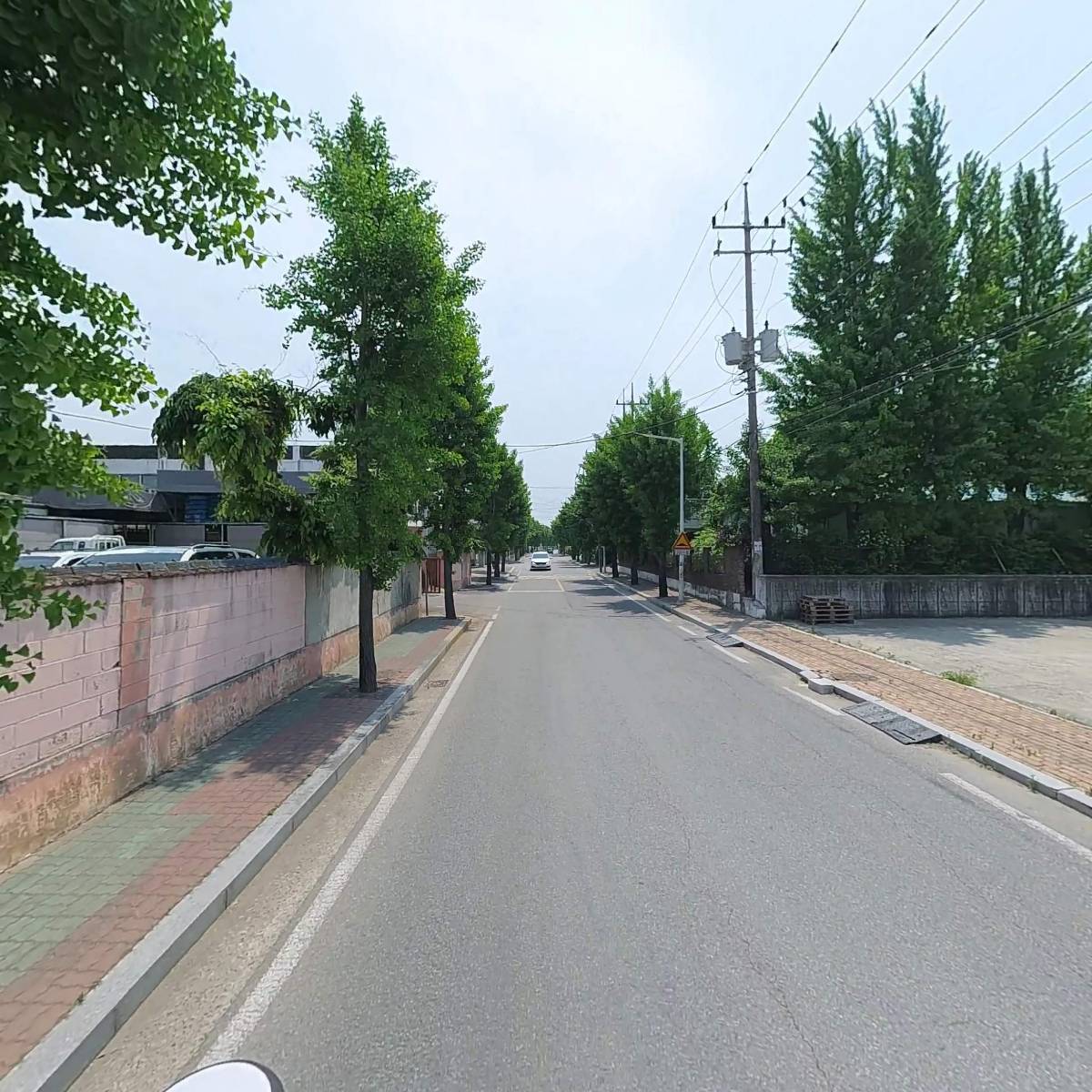 엠.스미스_2