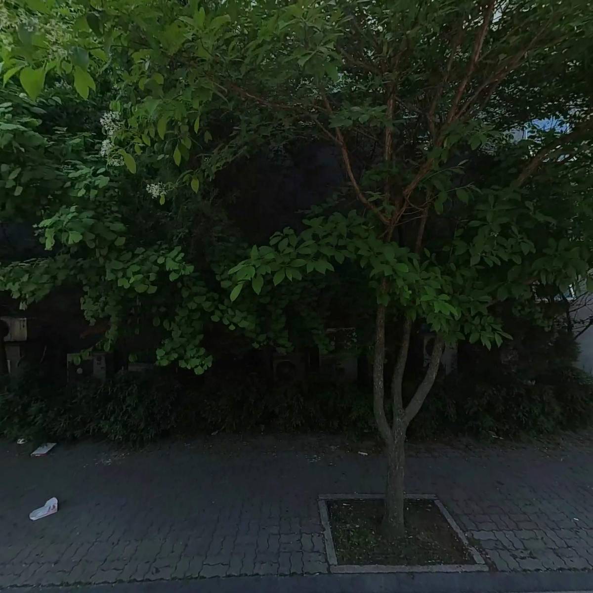 향남피부과의원