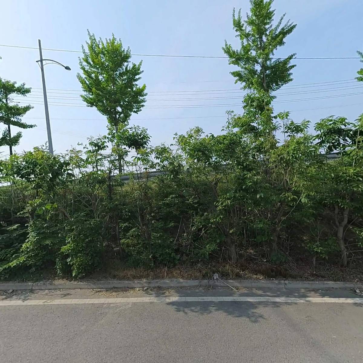 이레인테리어