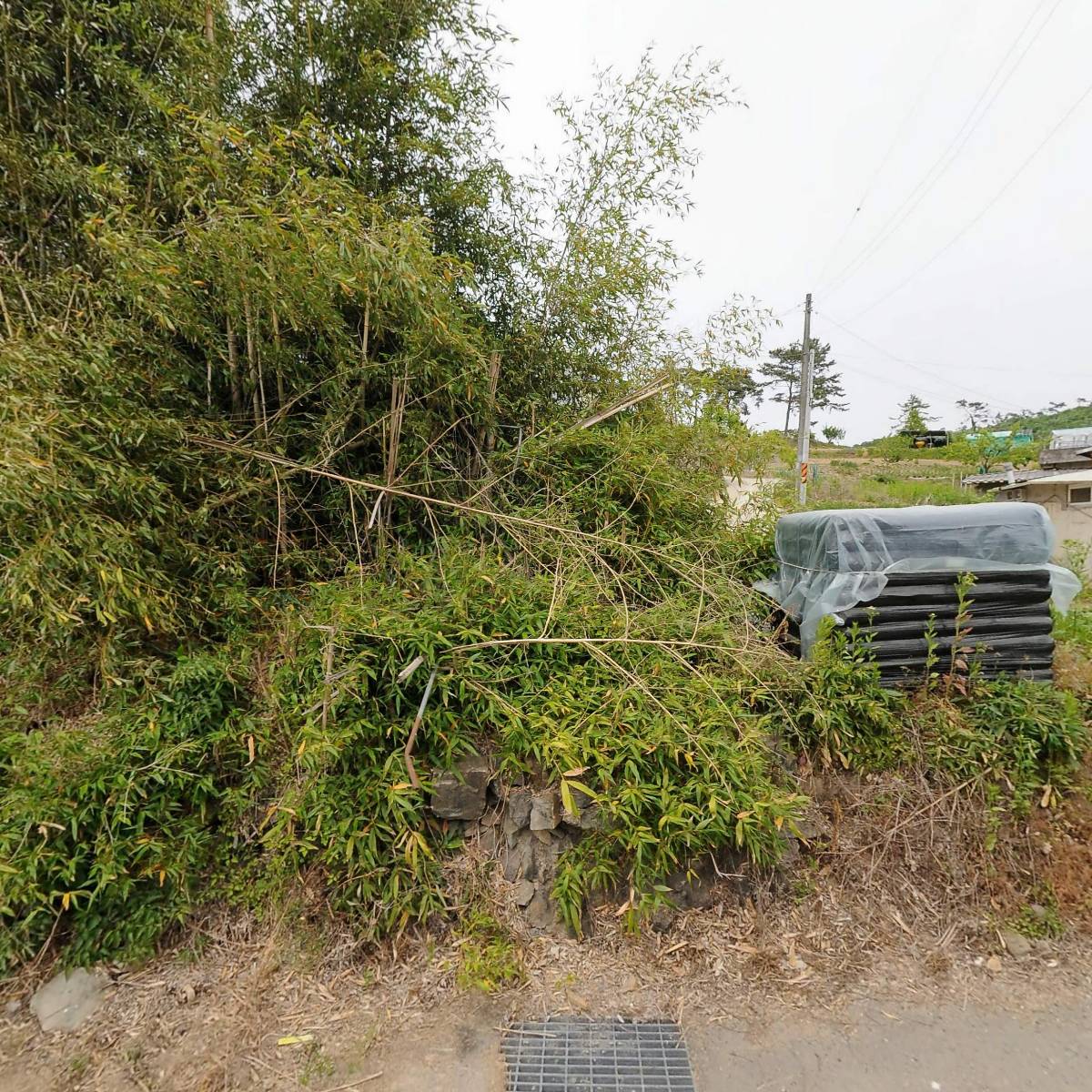 대노 함평군지회 나산면분회 선박경로당