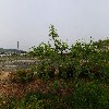 서해안칼국수_3