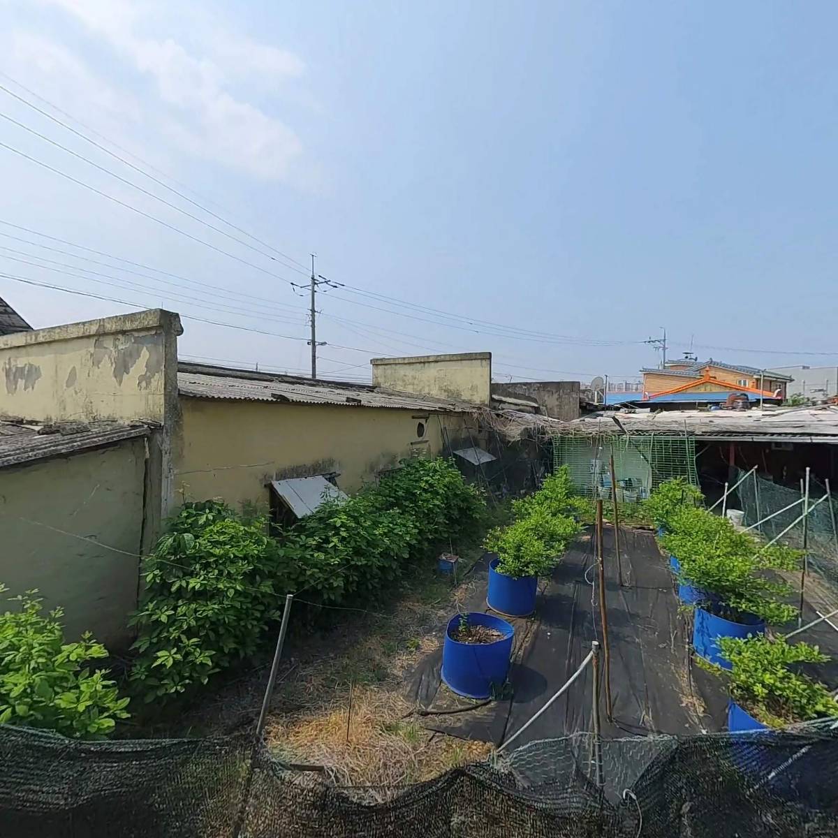 （주）롯데빙과 온양대리점_3