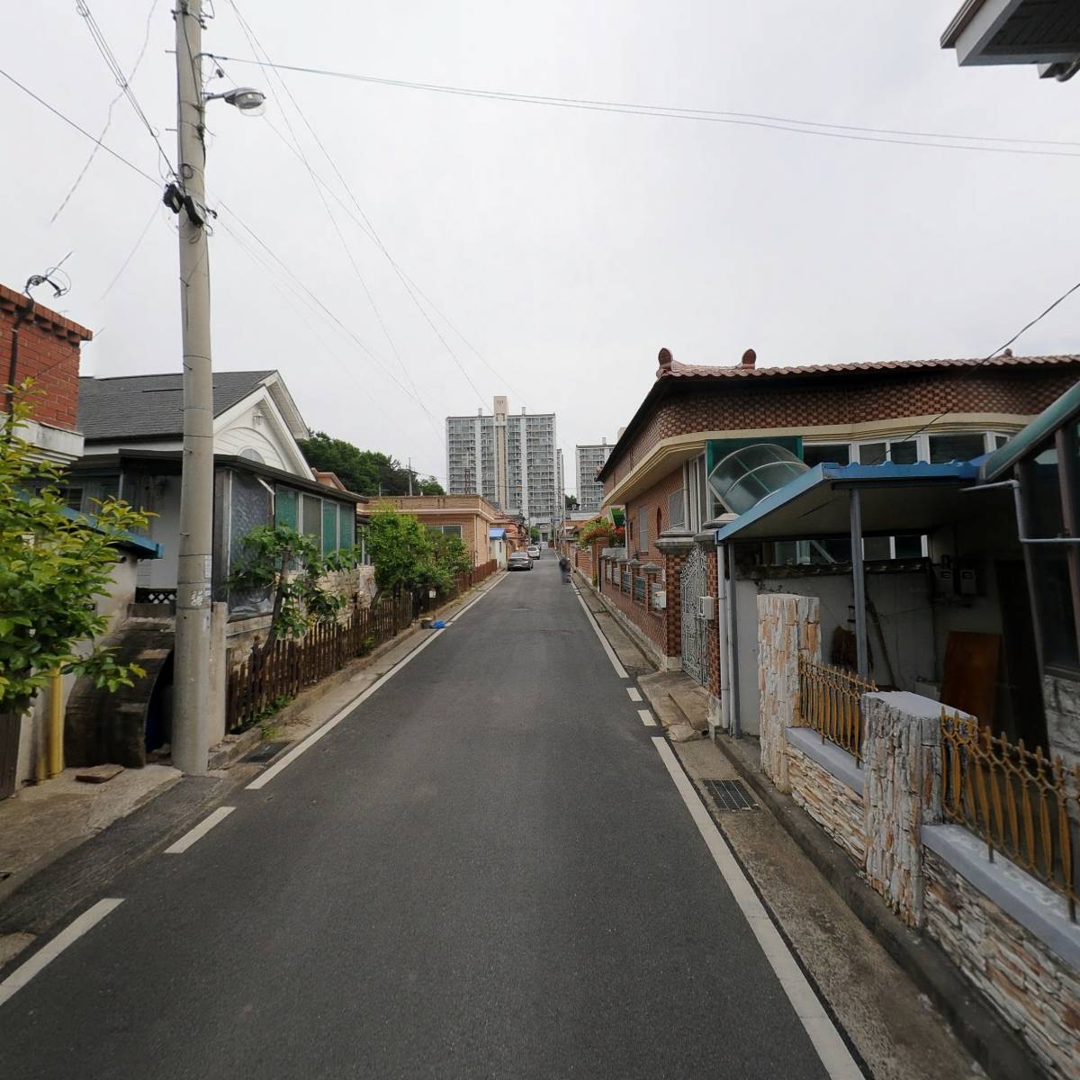 사단법인 대한무궁화협회_2