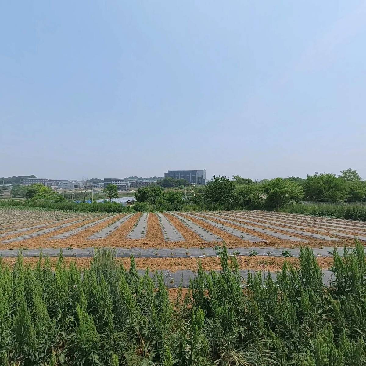 서연철강