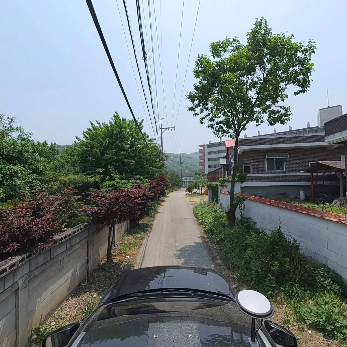 다이따몰_4