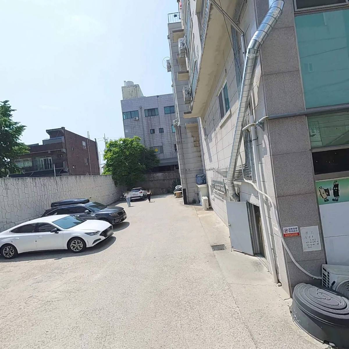 손수하다_3