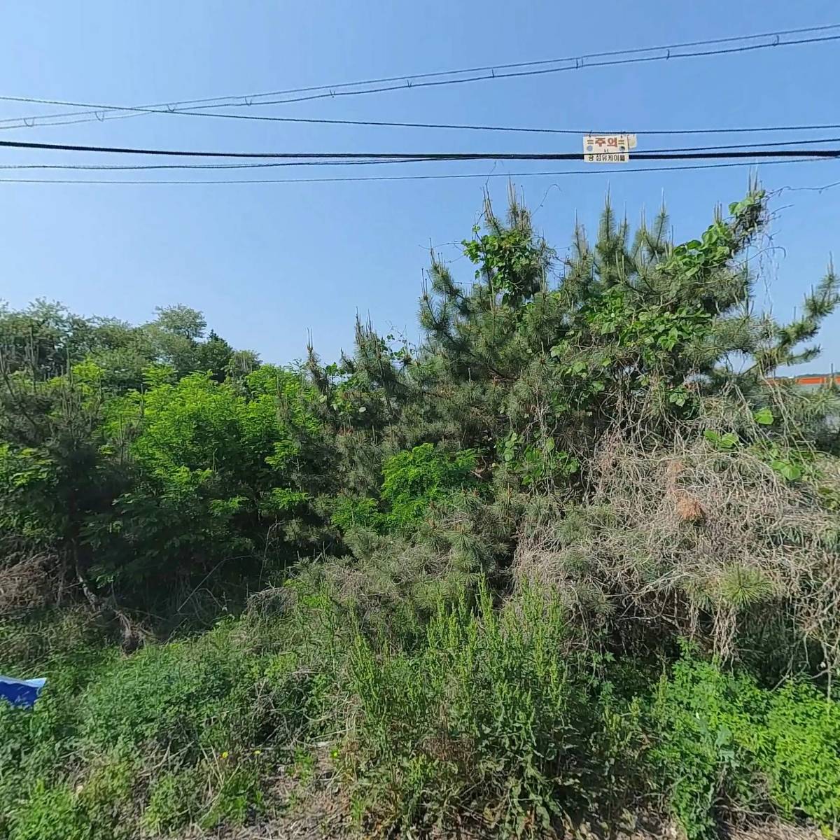에스이앤티 주식회사
