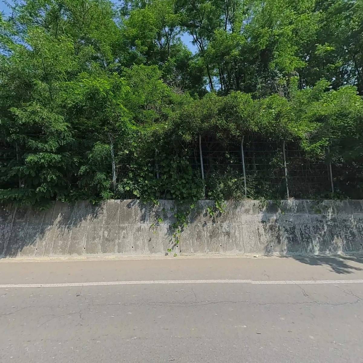 화성탁주합동제조장_3