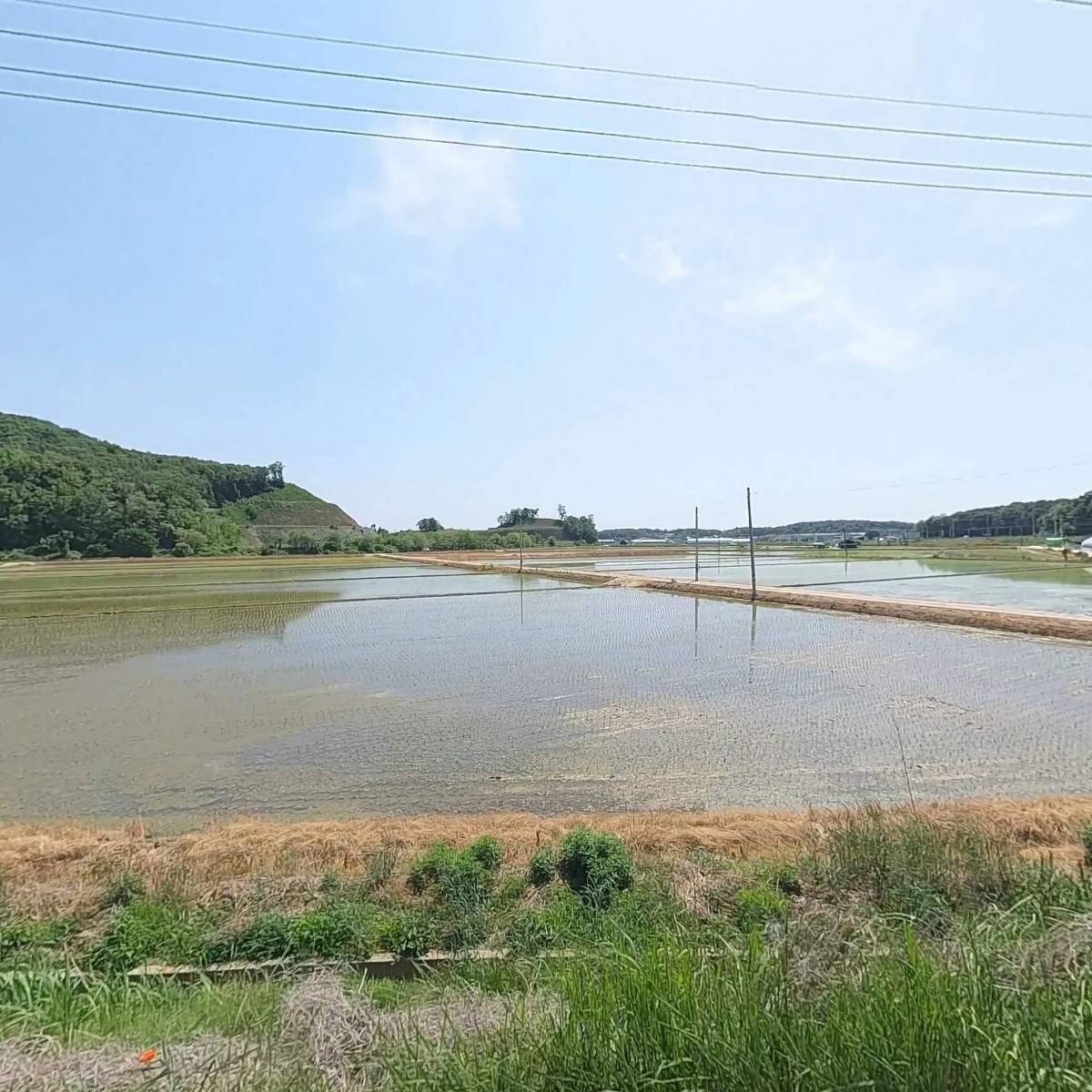 (주)위드산업조명