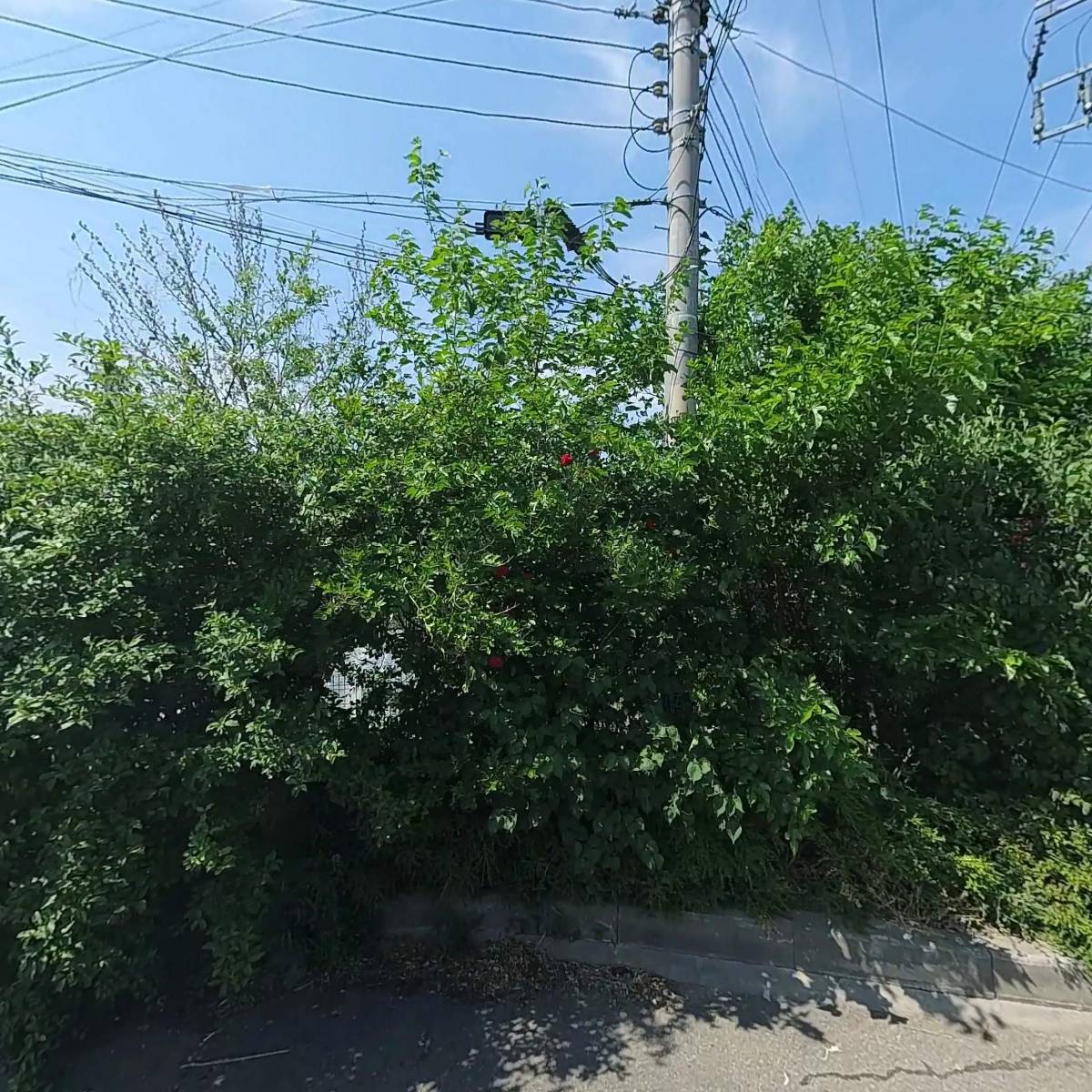 주식회사 아이팩글로벌_3