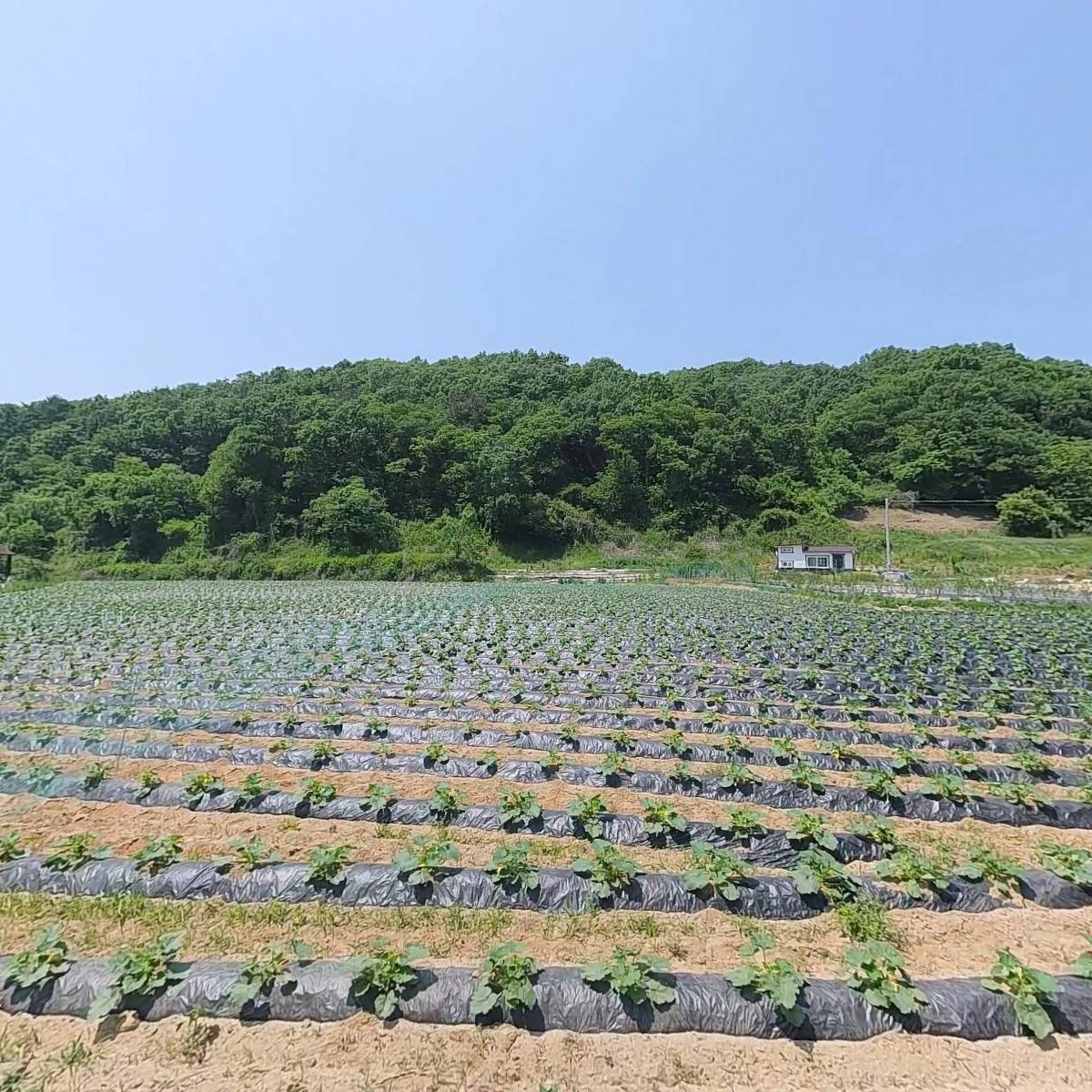 한국산림레포츠연구소