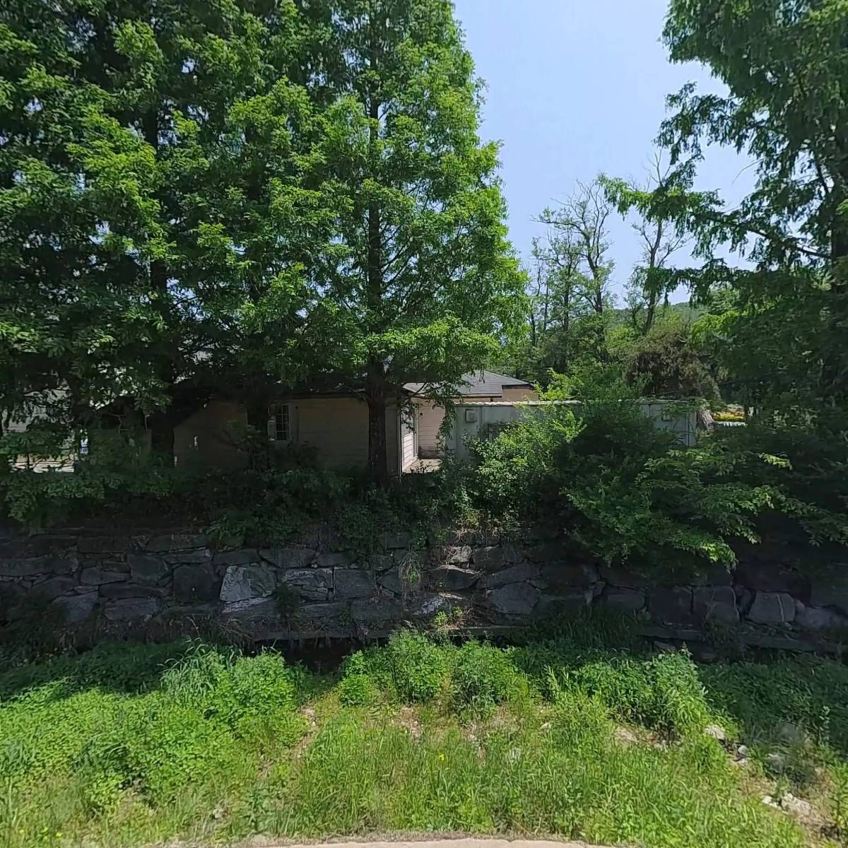 한국산림레포츠연구소_3