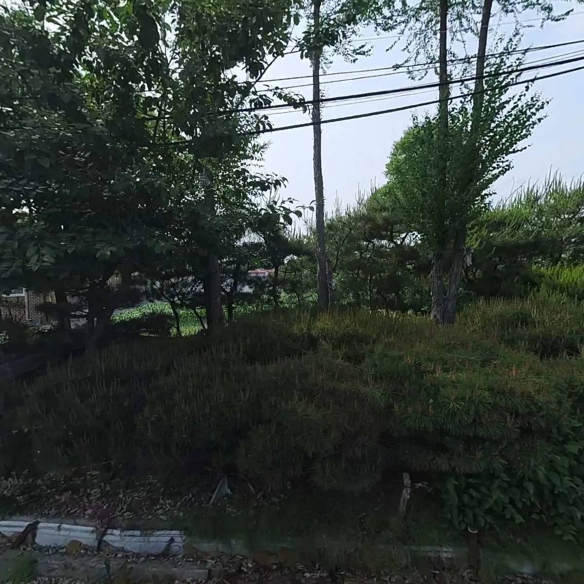 태강ENG