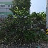 (주)아노스_3