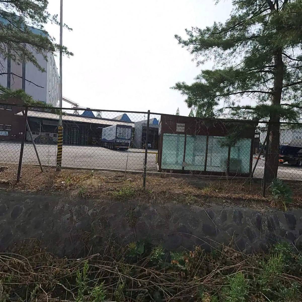 주식회사 파인트리코리아