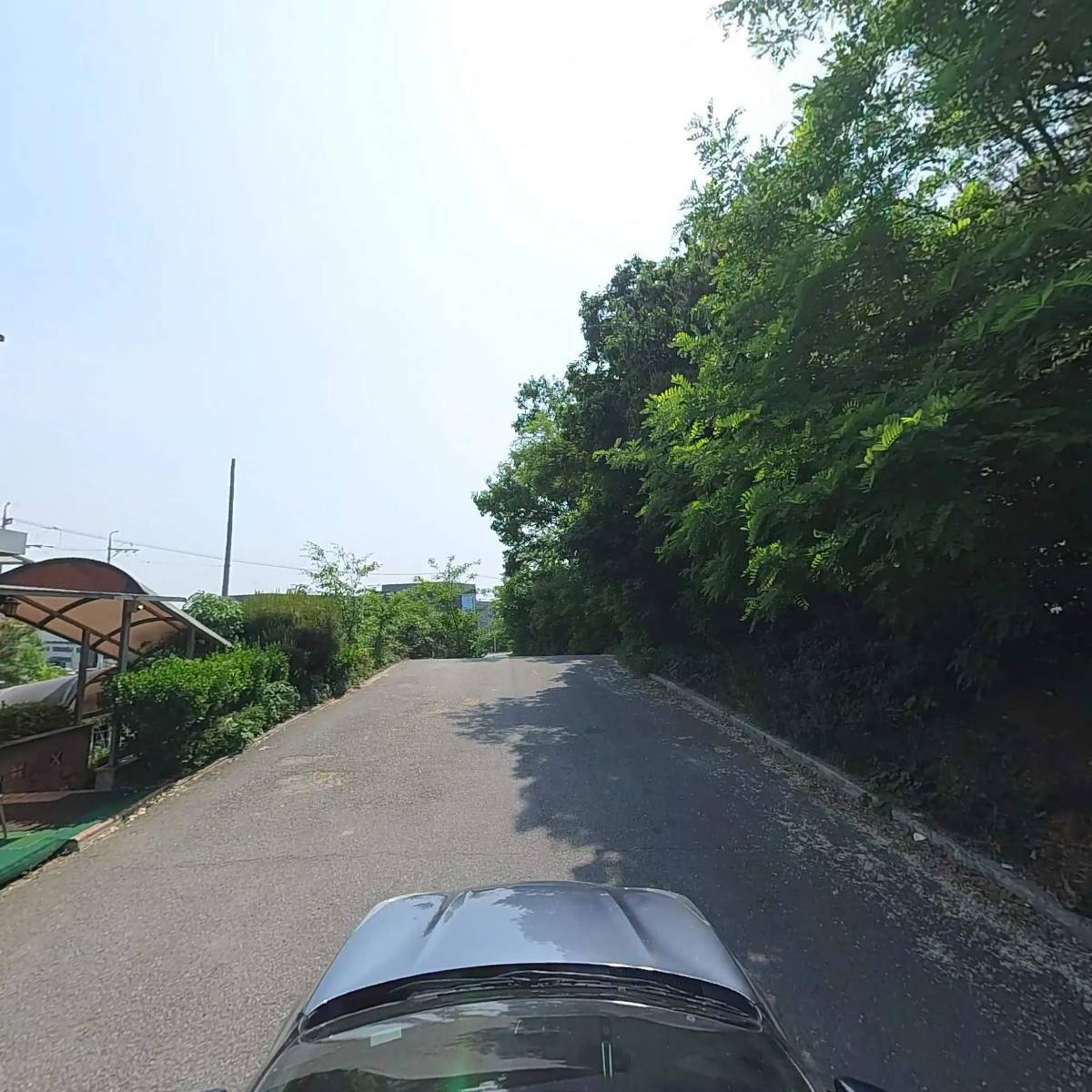 해오름_4