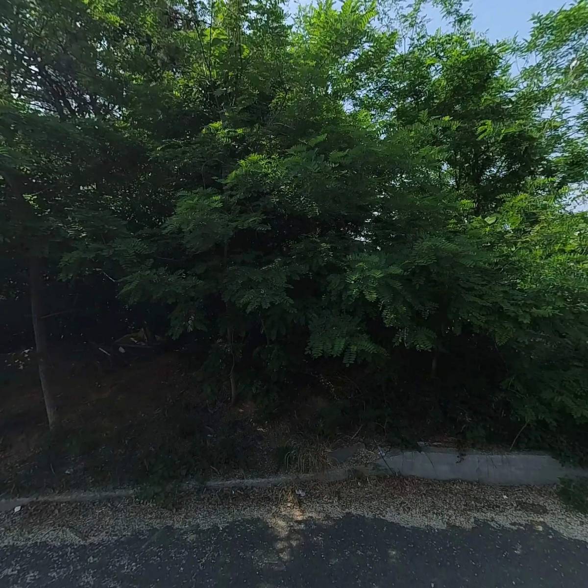 해오름