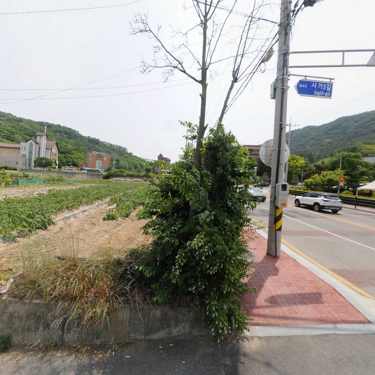 누룩제빵소 카페 3호점