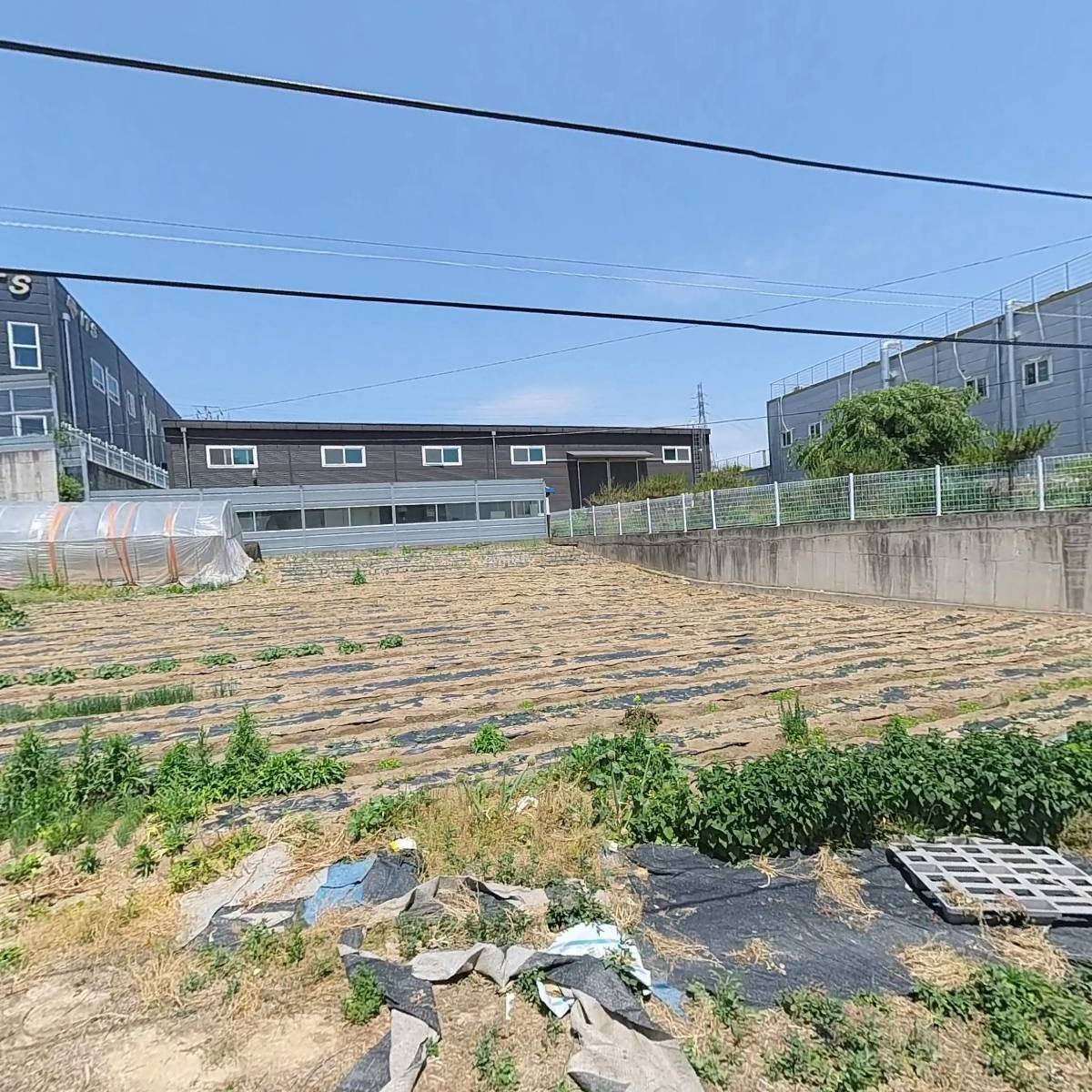 테크노아이즈코리아 주식회사_3