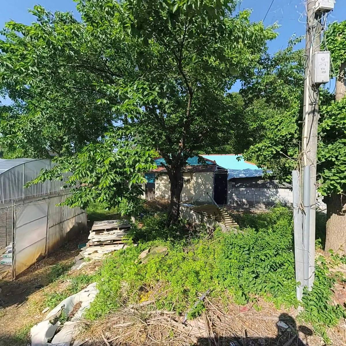 (주)한국프로토