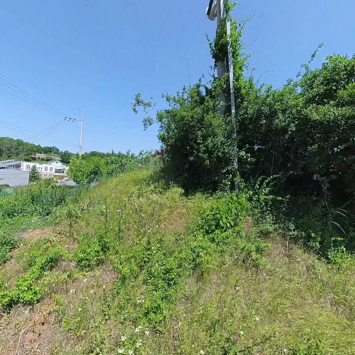 (주)모닝월드_3