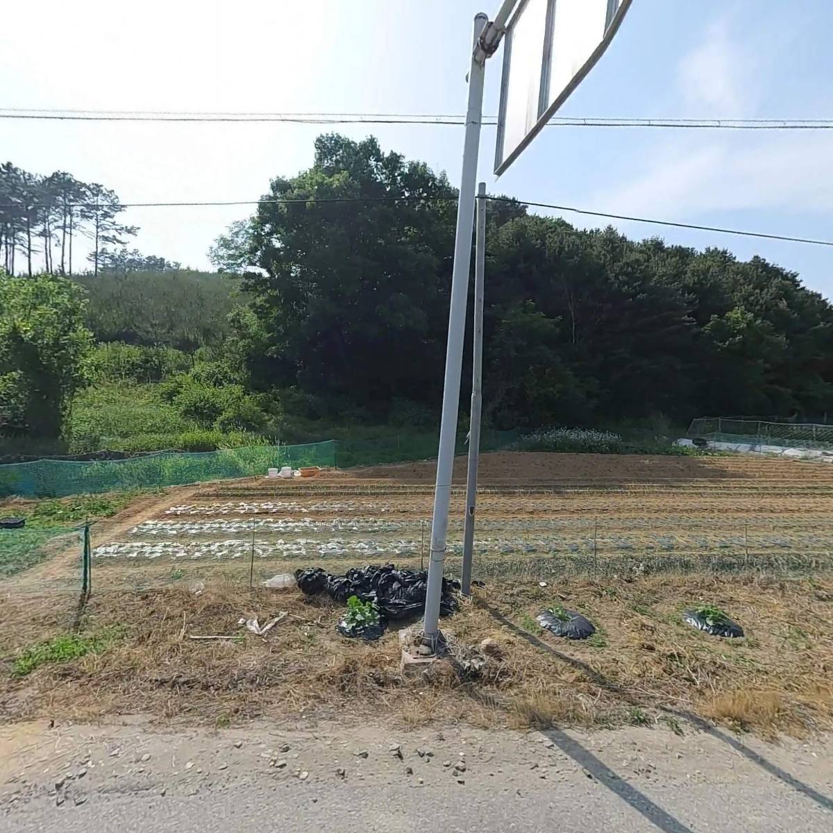 모박사