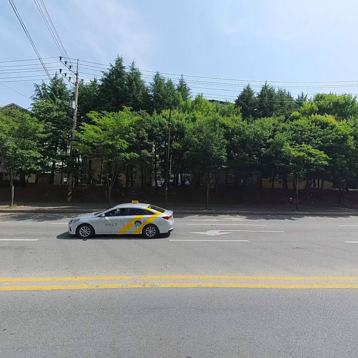 스윕 아트 컴퍼니_3