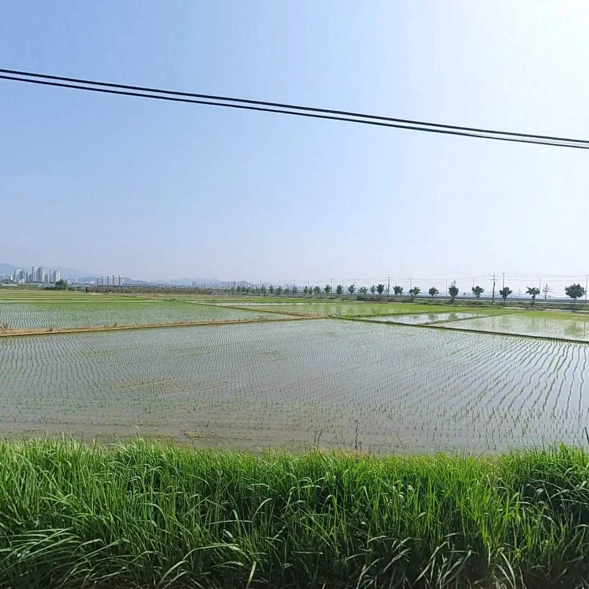 아산원예농업협동조합 학교급식지원센터