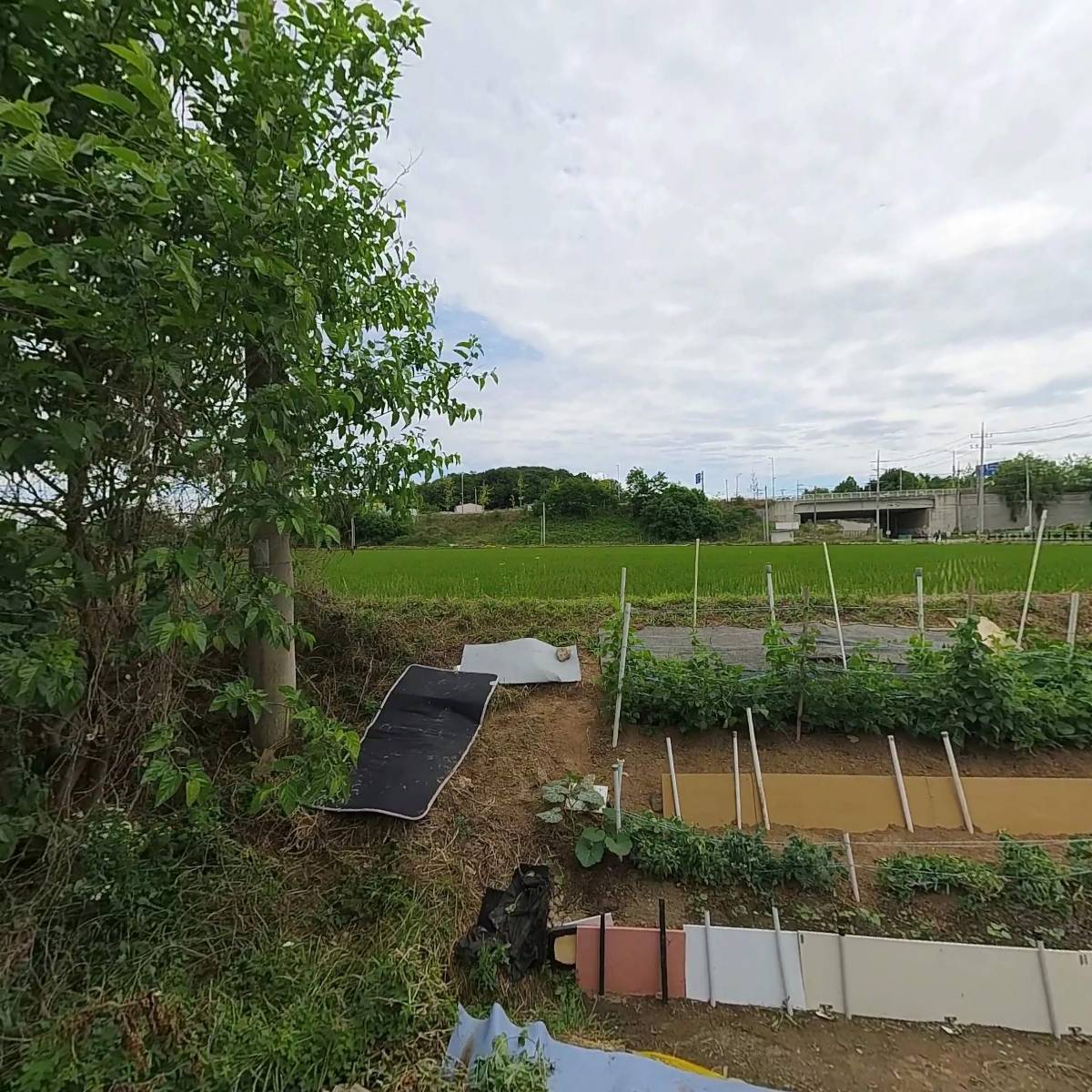 주식회사 티에스씨엠