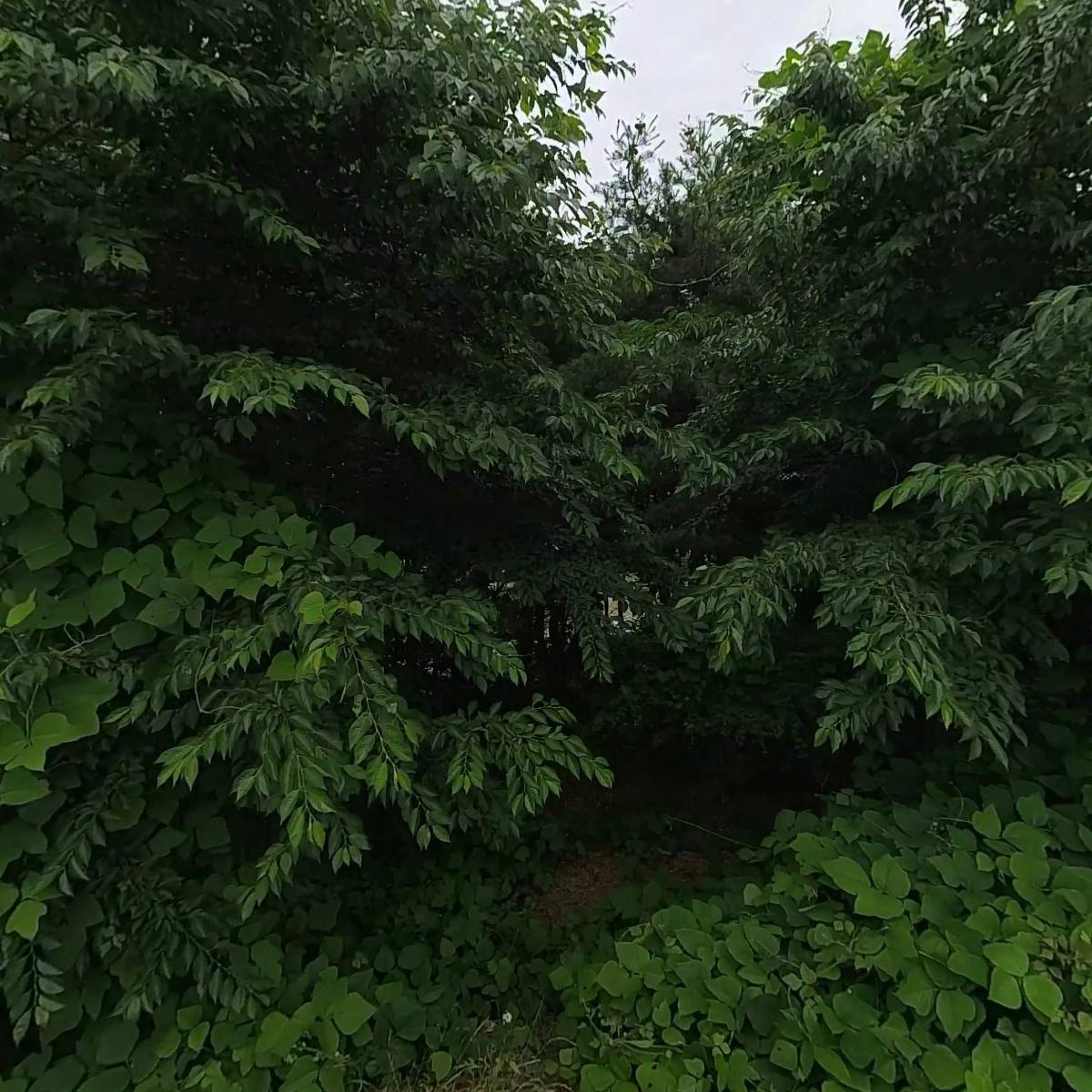 바른생활유통