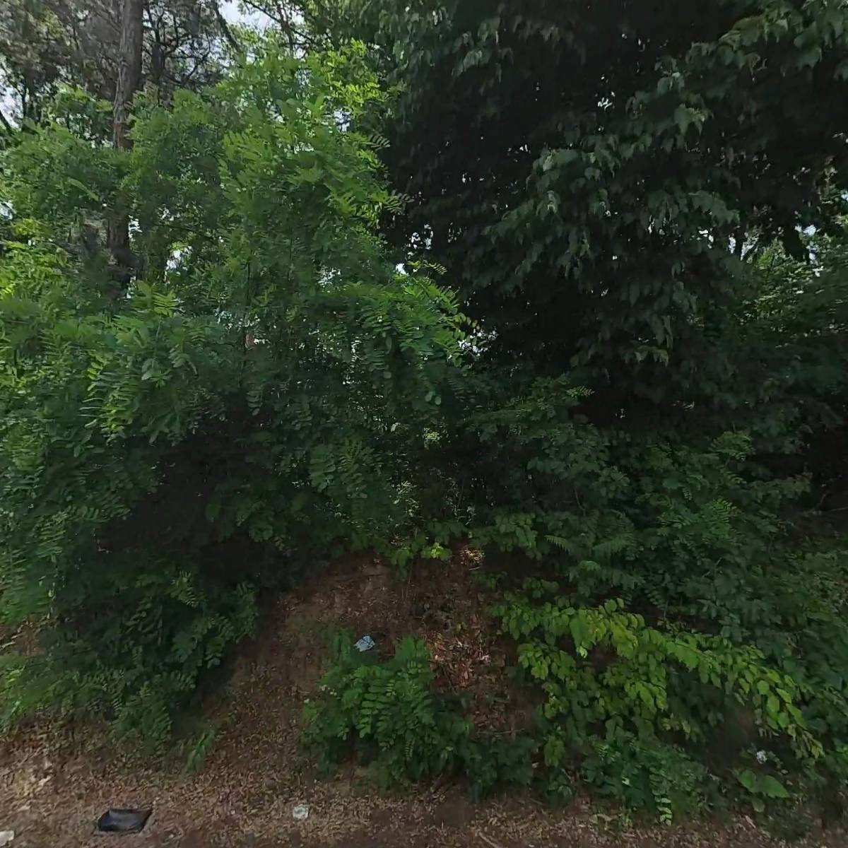 주식회사 오산교통