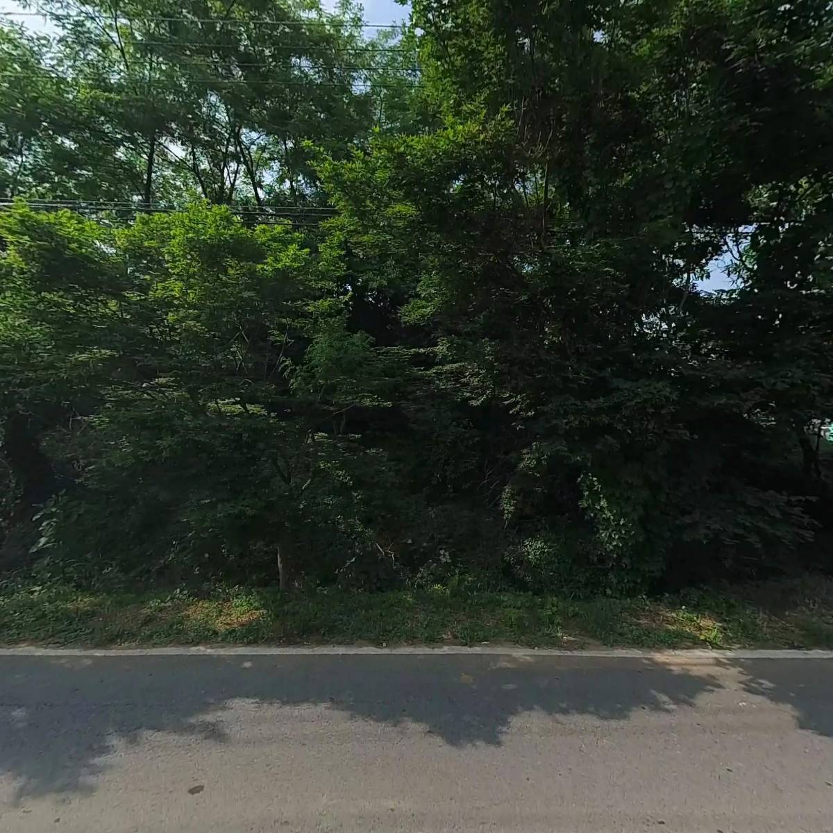 주식회사 지에코_3