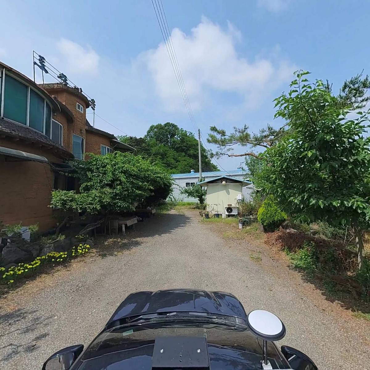 정순희_4