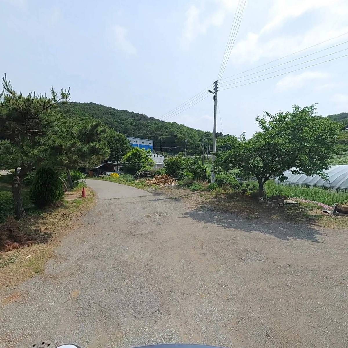 정순희_2