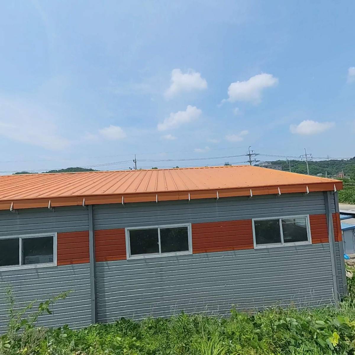 주식회사 그레이프도움손