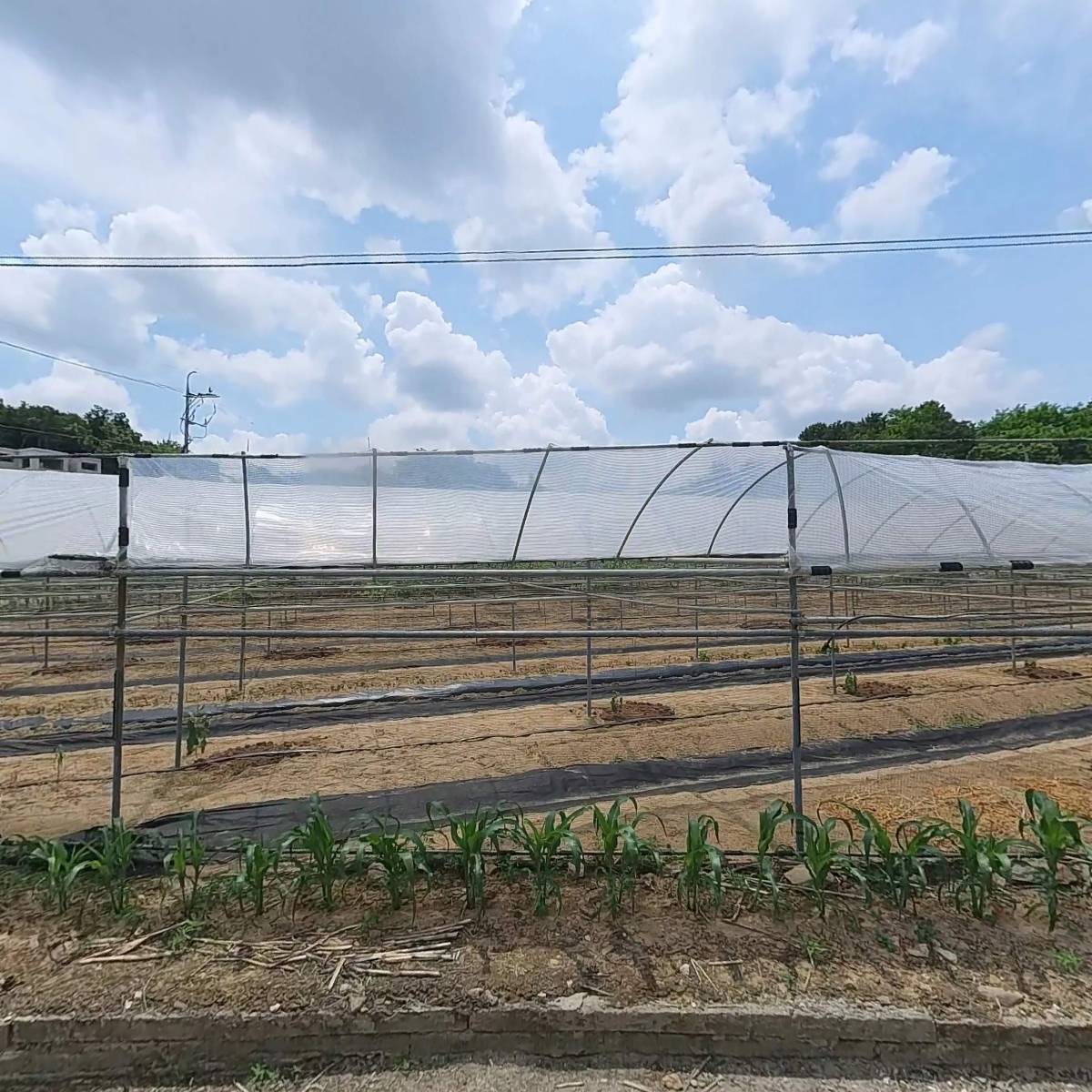 (주)오그린월드앤터프라이즈