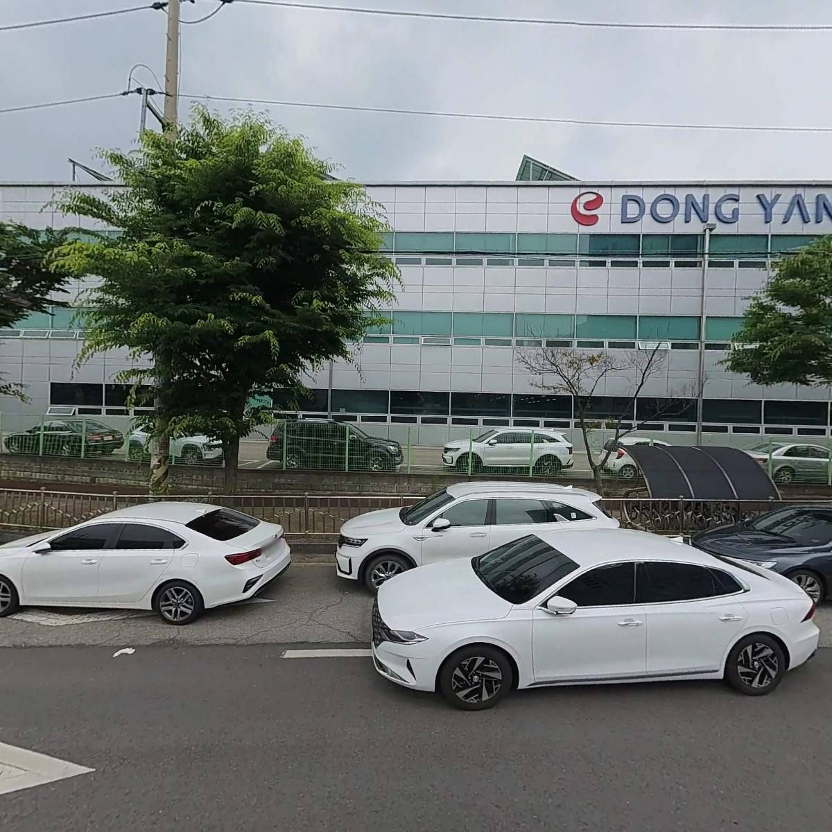 에스디와이(주)