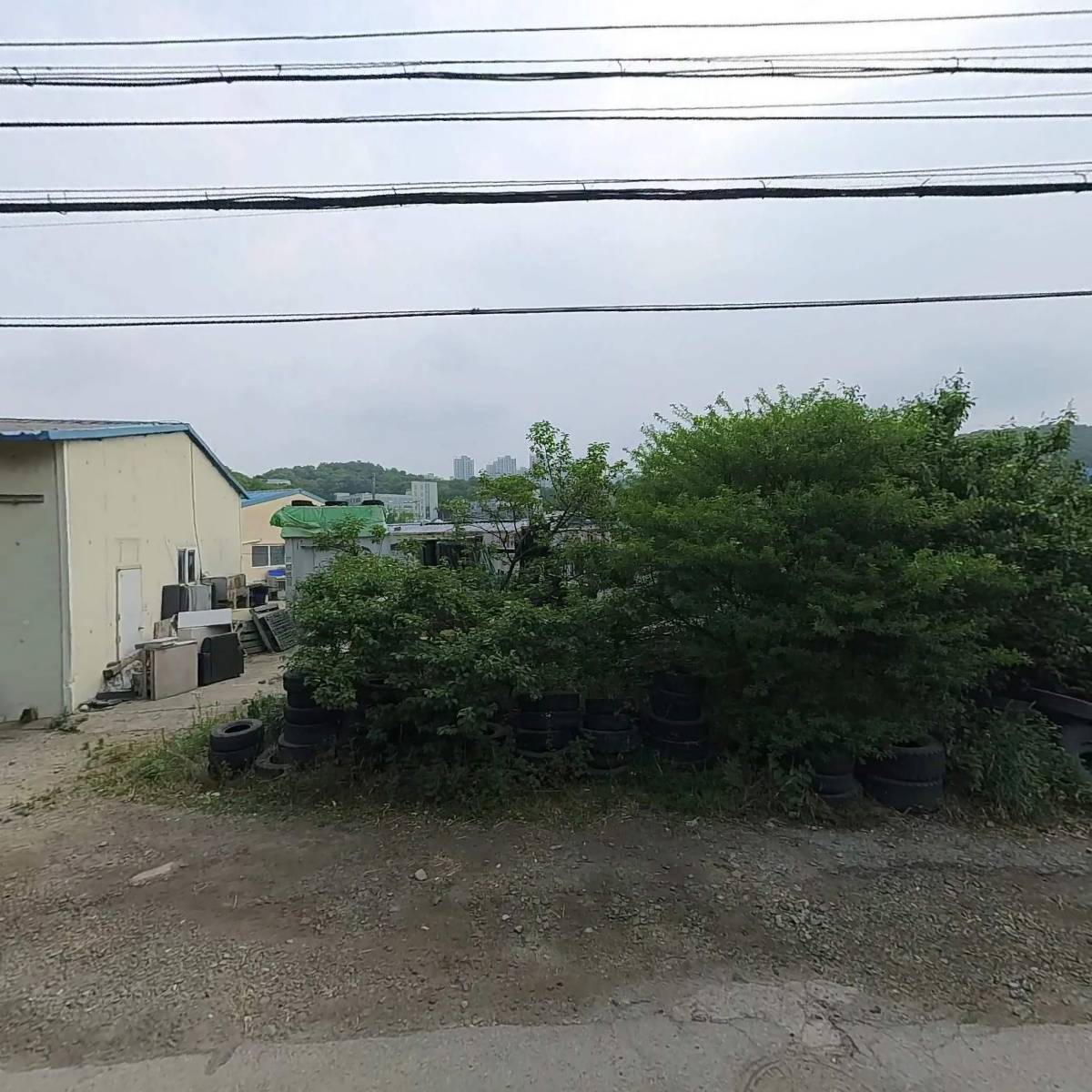 소나무농업회사법인주식회사