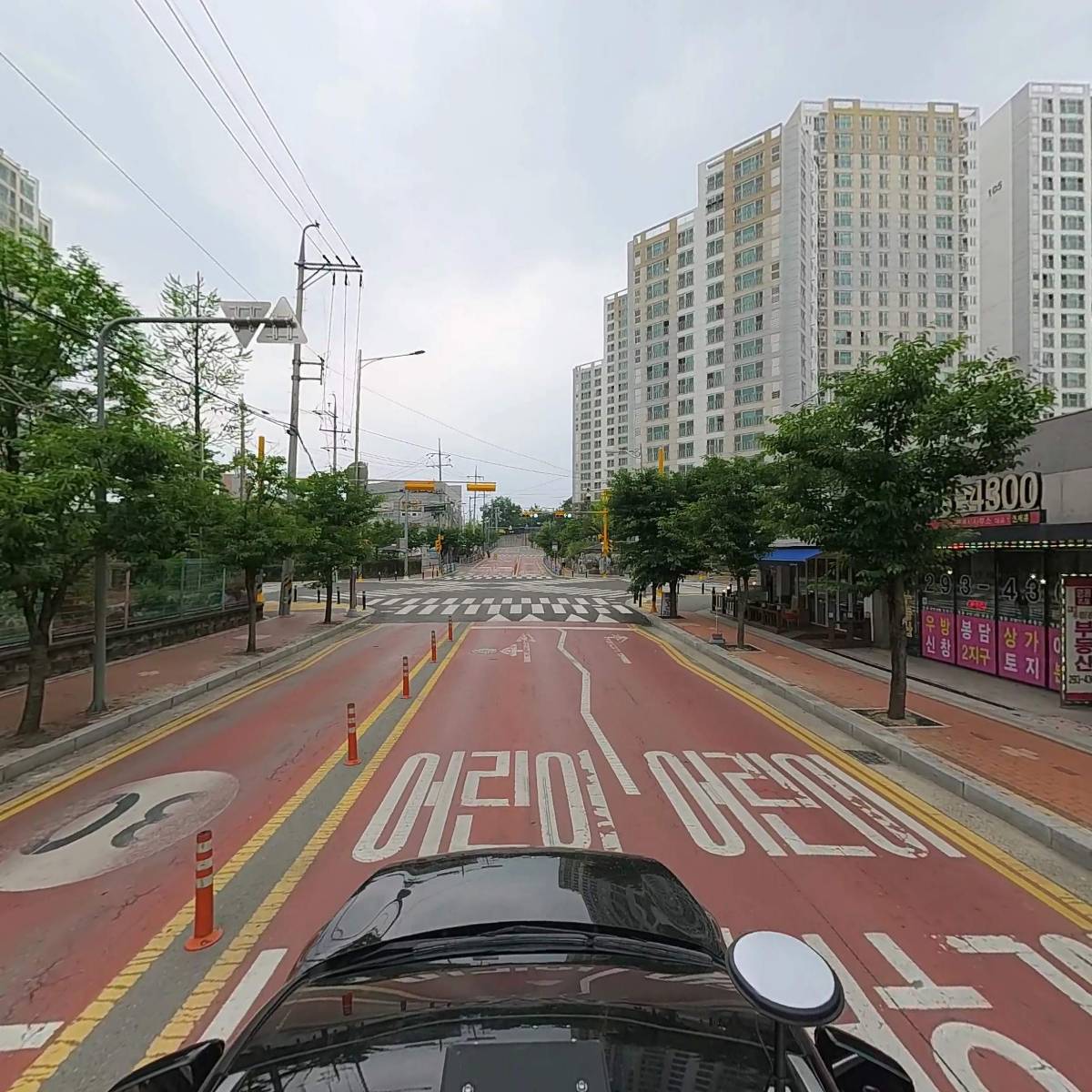 팀 크리투스_4