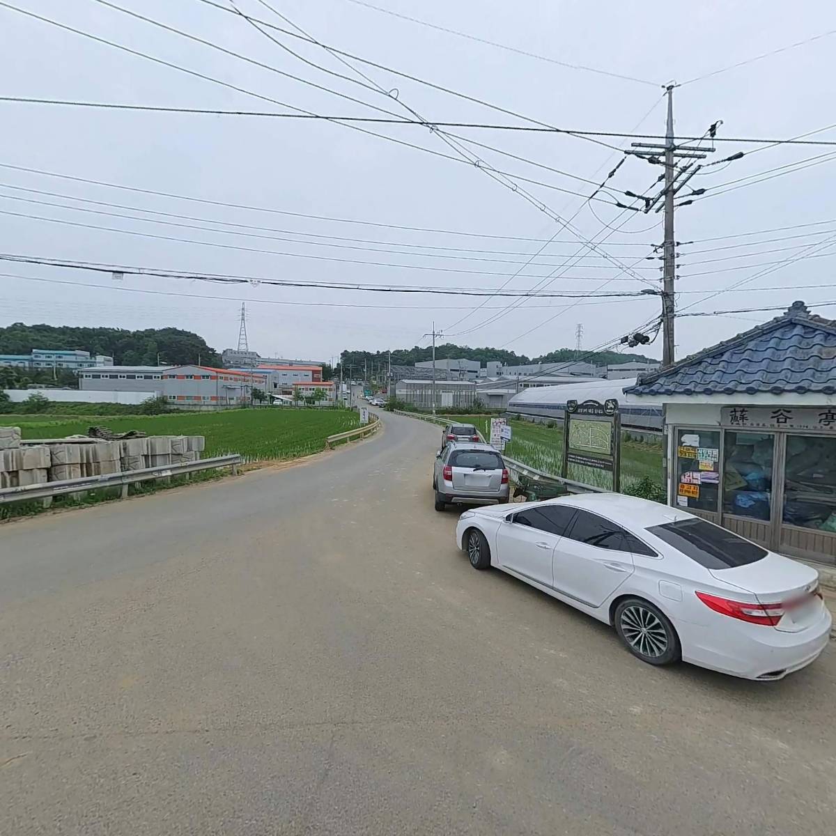 금당엄나무마을_3