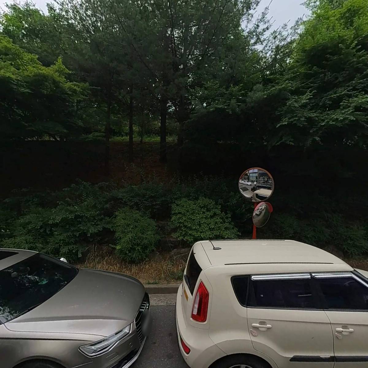 동물보육원 천안오성지부