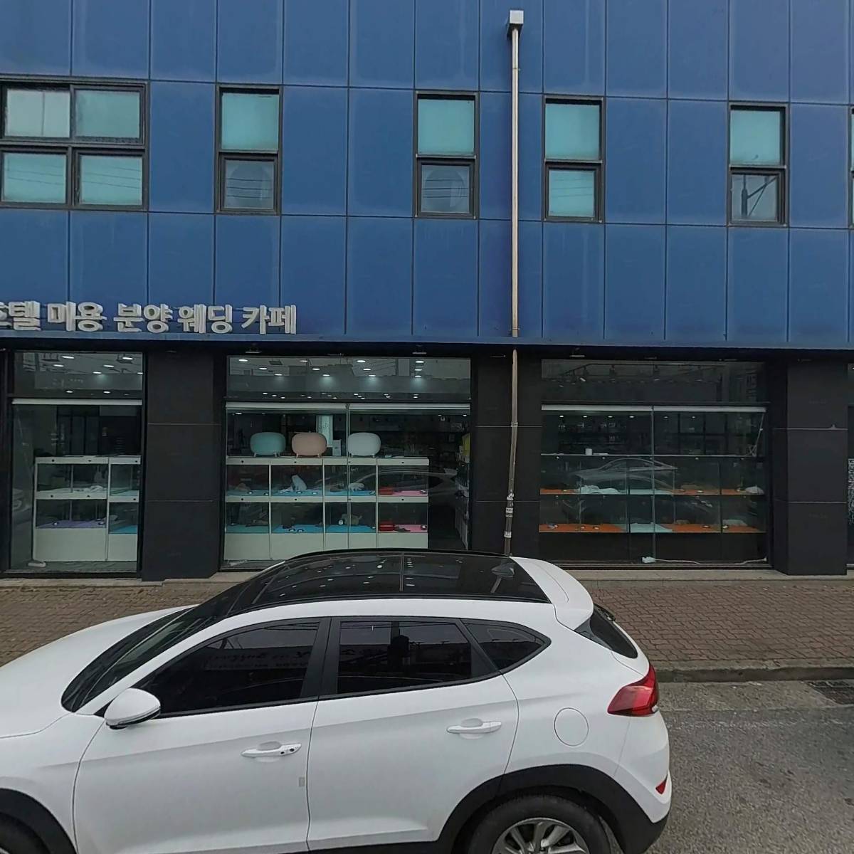 주식회사 애니멀즈