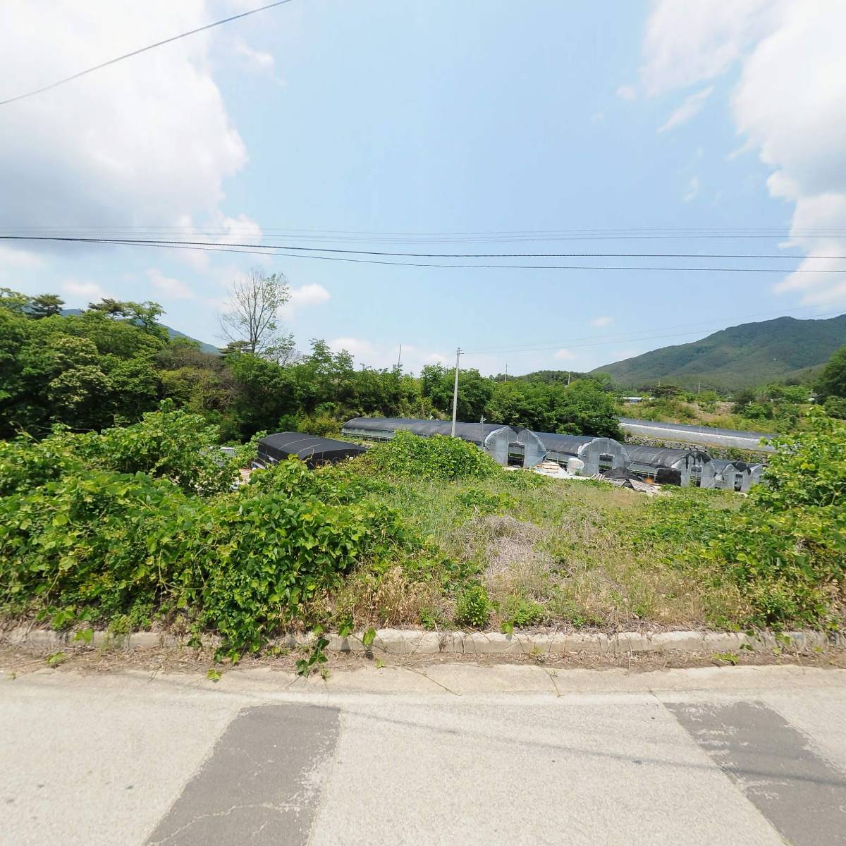 지리산한봉영농조합법인_3